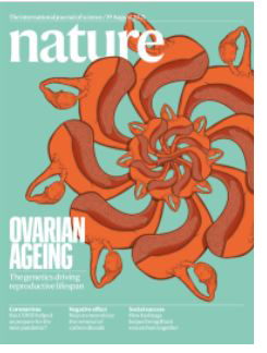 NatureOvarianAging.png 