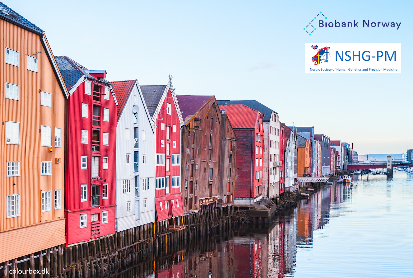 Historical harbour, Bryggen, in Trondheim